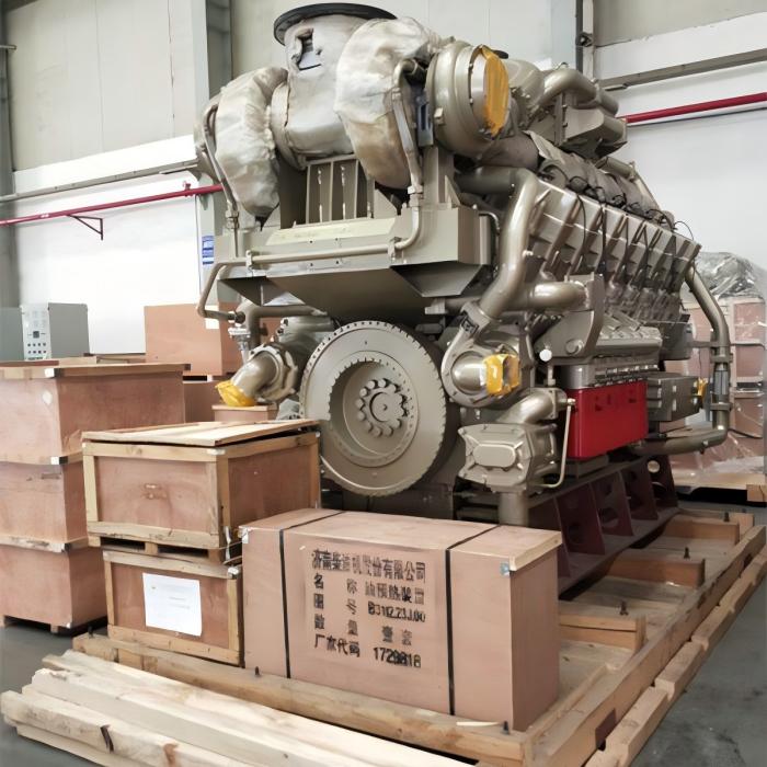 Generador de biogás de 1000KW