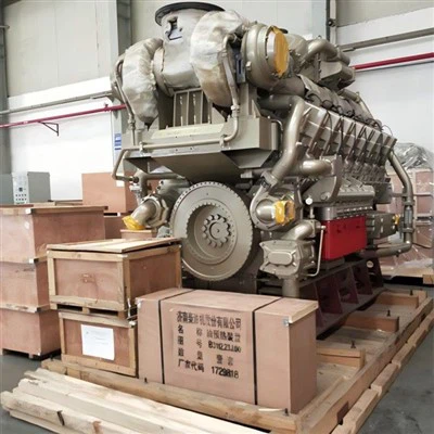 Generador de biogás de 1000KW