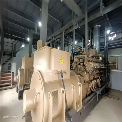 resistencia a la humedad del grupo electrógeno